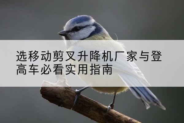 玛纳斯电动升降机厂家-选移动剪叉升降机厂家与登高车必看实用指南