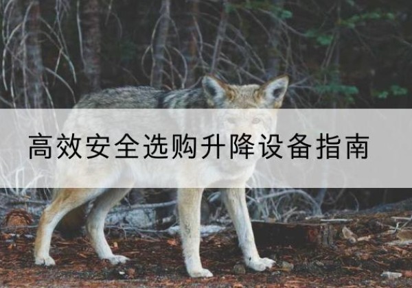 玛纳斯升降货梯厂家推荐-*安全选购升降设备指南