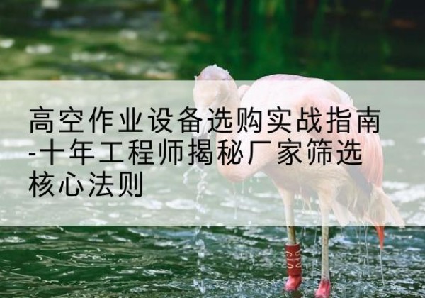 玛纳斯剪叉式升降机厂家-高空作业设备选购实战指南-十年工程师揭秘厂家筛选核心法则